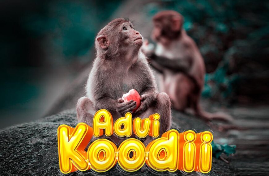 Download Rekordz Adui Koodi